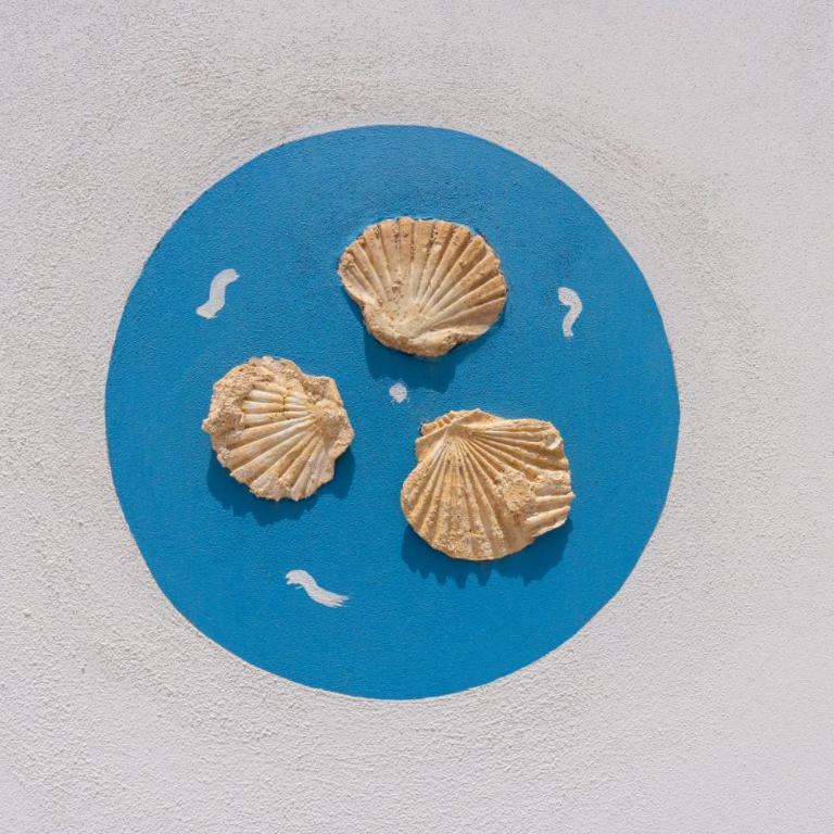 Cuore di Conchiglia - Appartamento con 2 Camere da Letto - 20
