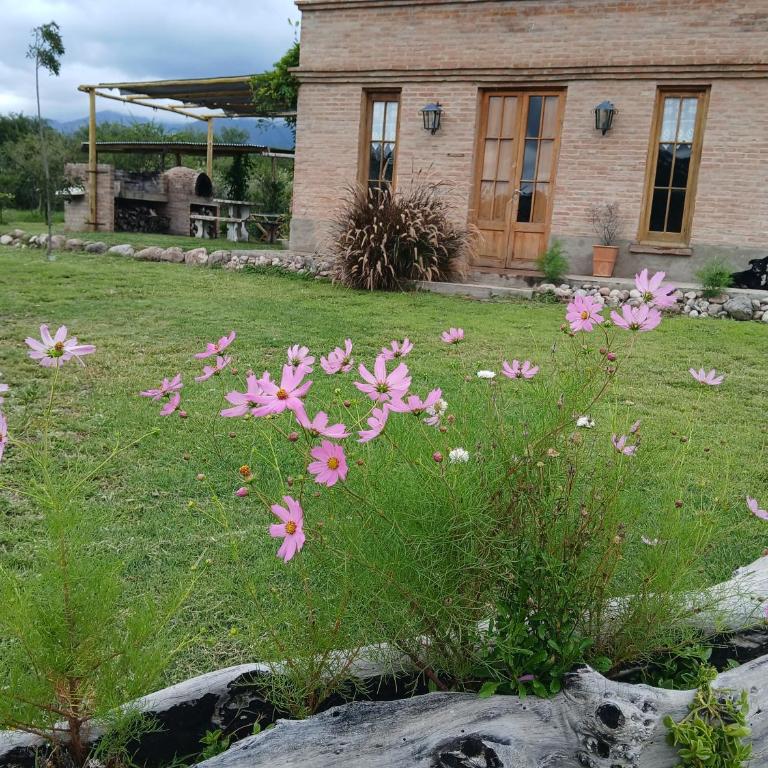 Casas de Epoca -Serendipia - Two-Bedroom House - 49