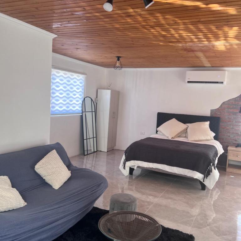 Casa Maly, valle de apalta, Santa Cruz - One-Bedroom Villa - 6