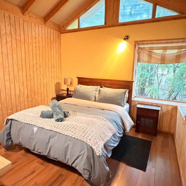 Cabaña Roca Volcán - Two-Bedroom House - 4