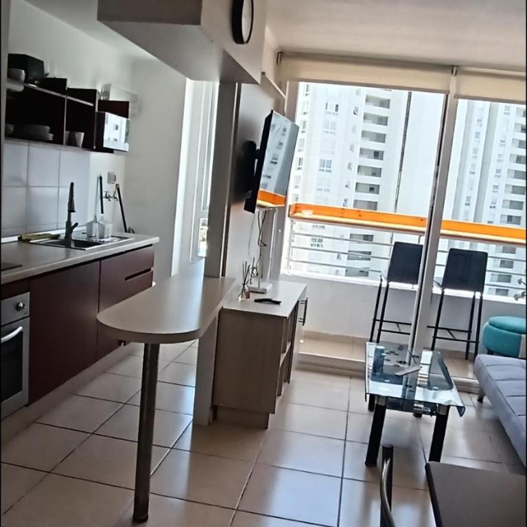 Lindo departamento a pasos del casino y playa peñuelas totalmente amoblado - Three-Bedroom Apartment with Sea View - 2