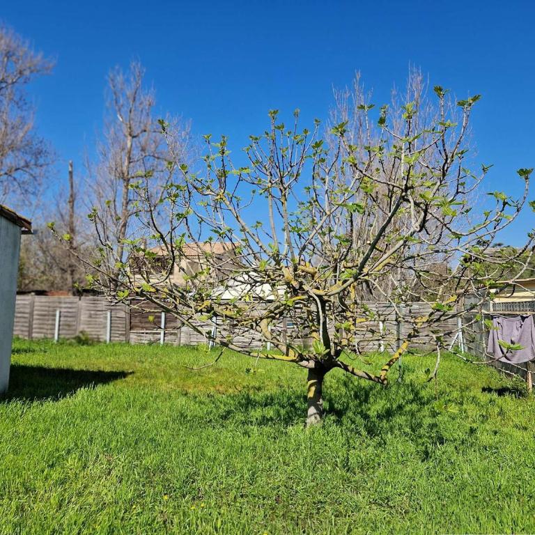 Maison proche plage avec terrasse - 5 pers. - FR-1-387-231 - Apartamento - 16