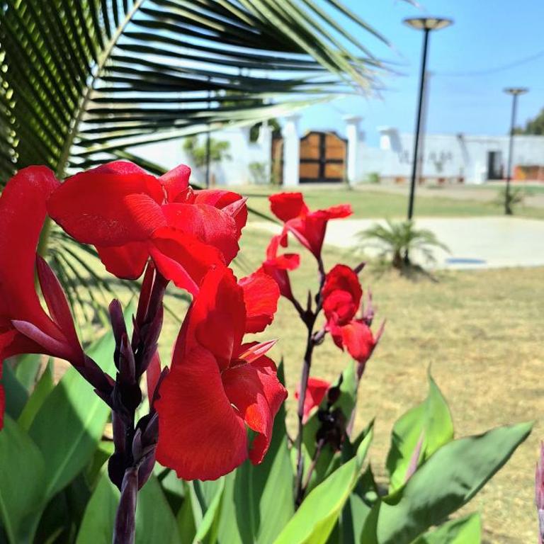 Villa alba, cabaña, parrilla, fogata, playas - Villa de 2 dormitorios - 23