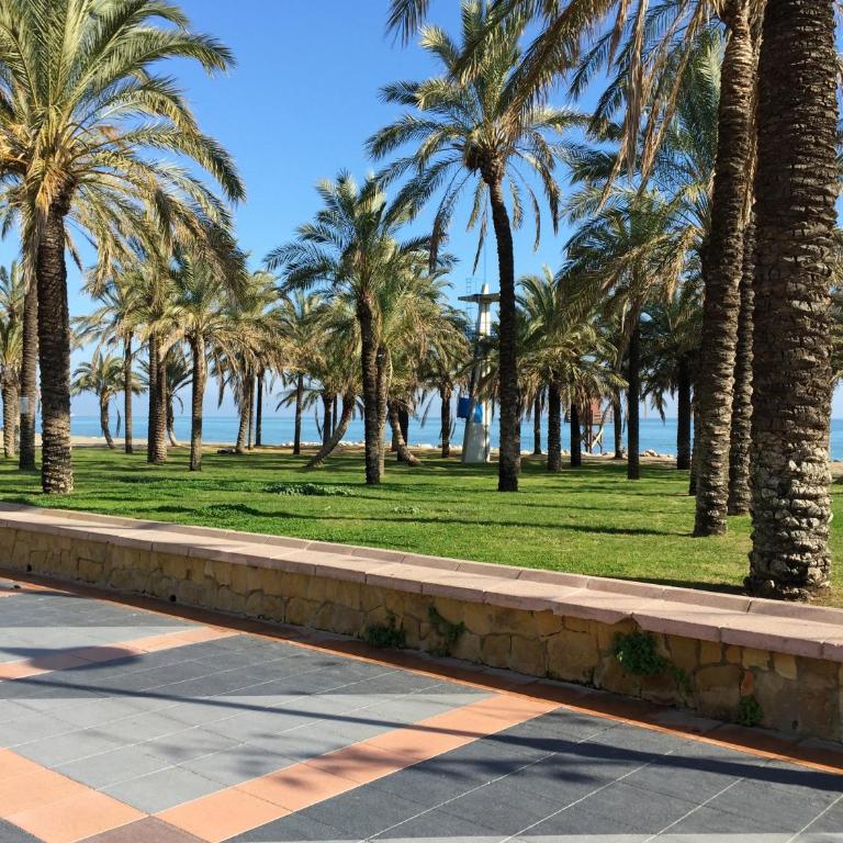 Apartamento en Torremolinos con piscina - Apartamento de 1 dormitorio - 60