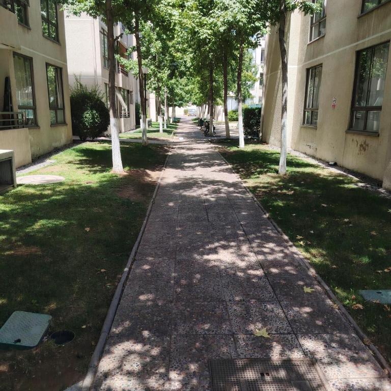 Alojamiento diario - Apartamento de 2 dormitorios - 2