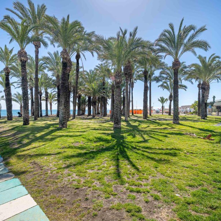 Vivendos - TR29 - Carihuela - Apartamento - 5