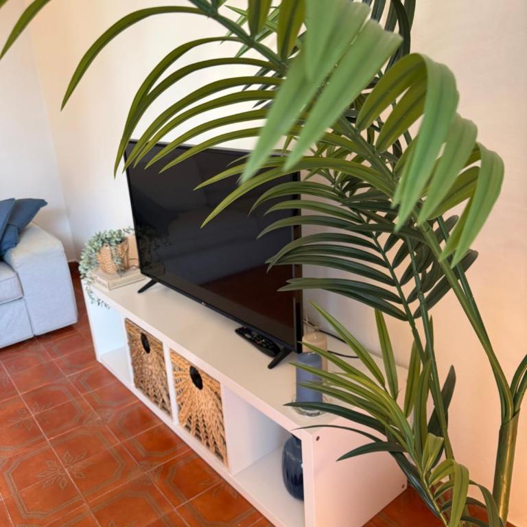 Intero appartamento vicino al mare e Forte dei Marmi, relax, spazio e posizione top - Apartamento de 2 dormitorios con vistas al jardín - 6