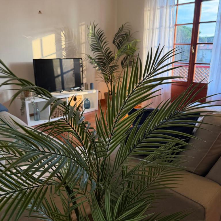 Intero appartamento vicino al mare e Forte dei Marmi, relax, spazio e posizione top - Apartamento de 2 dormitorios con vistas al jardín - 10