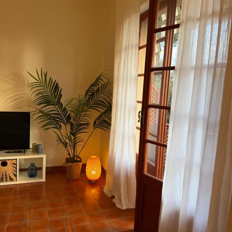 Intero appartamento vicino al mare e Forte dei Marmi, relax, spazio e posizione top - Apartamento de 2 dormitorios con vistas al jardín - 9