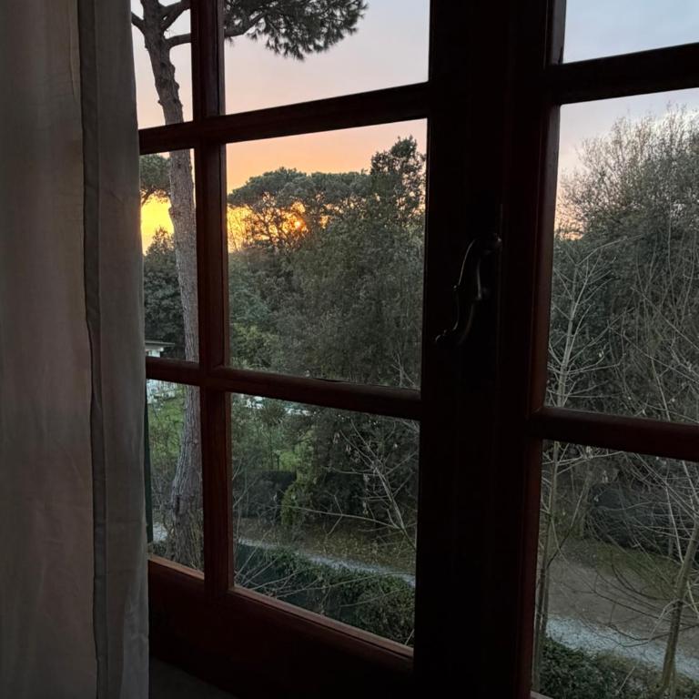 Intero appartamento vicino al mare e Forte dei Marmi, relax, spazio e posizione top - Apartamento de 2 dormitorios con vistas al jardín - 23