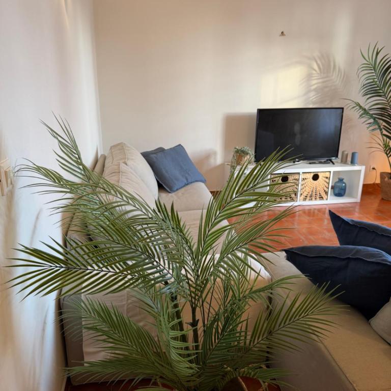 Intero appartamento vicino al mare e Forte dei Marmi, relax, spazio e posizione top - Apartamento de 2 dormitorios con vistas al jardín - 30