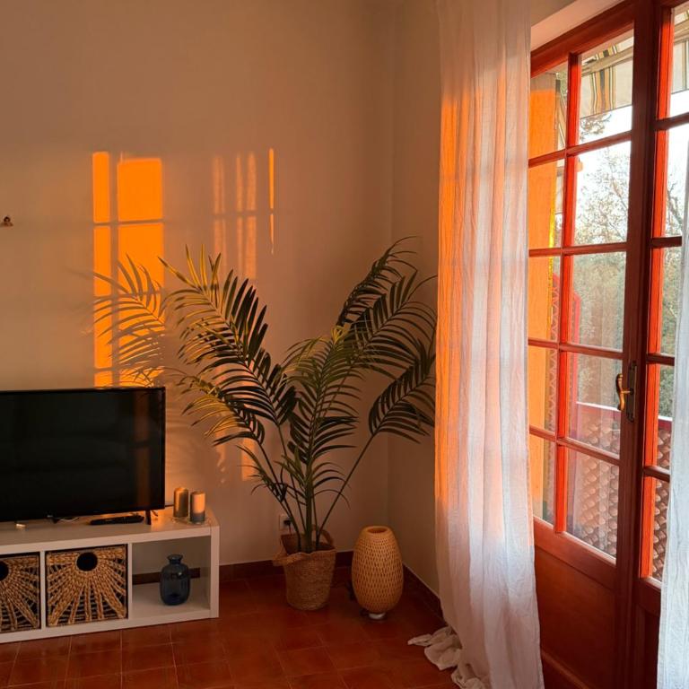 Intero appartamento vicino al mare e Forte dei Marmi, relax, spazio e posizione top - Apartamento de 2 dormitorios con vistas al jardín - 3