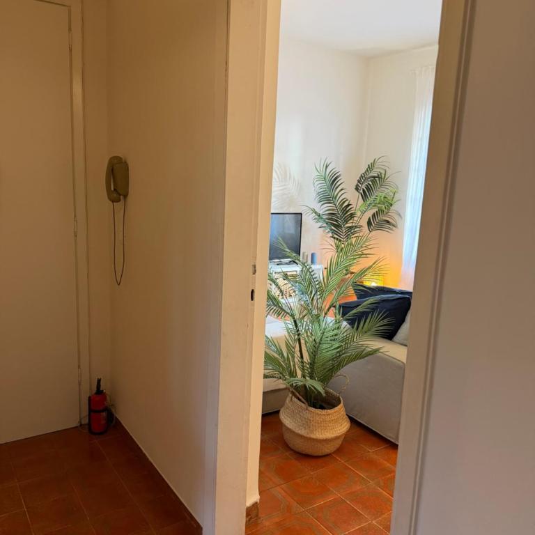 Intero appartamento vicino al mare e Forte dei Marmi, relax, spazio e posizione top - Apartamento de 2 dormitorios con vistas al jardín - 33