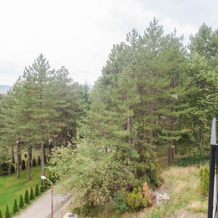 apartman lunja zlatibor - One-Bedroom Apartment - 14
