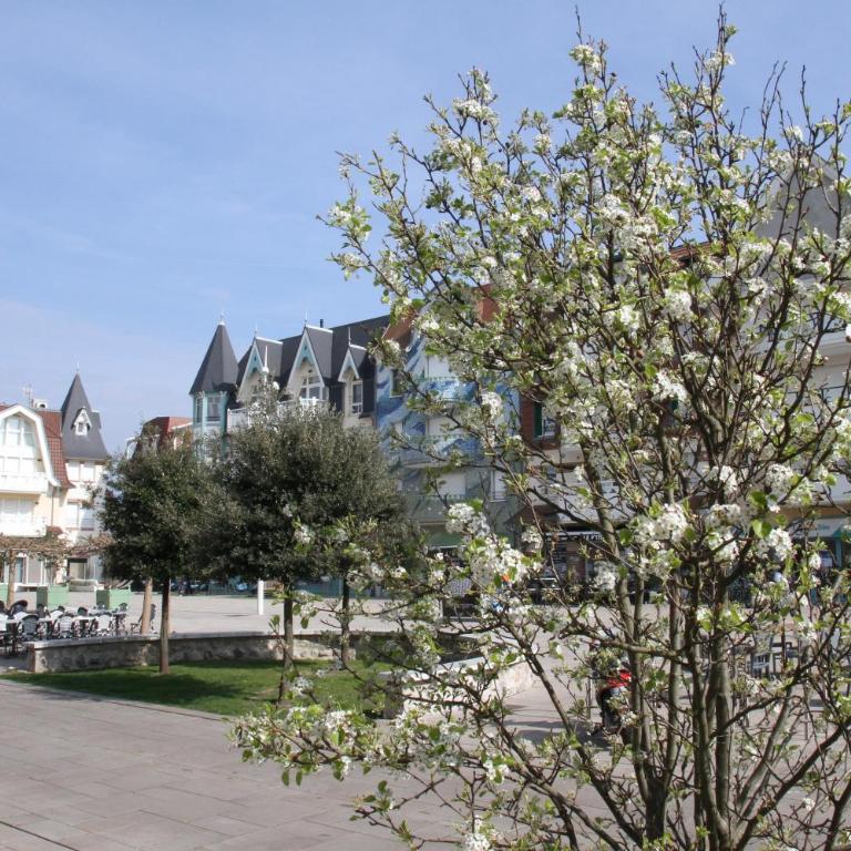 Thamyris, Proche Plage et Centre - Apartamento de 2 dormitorios - 37