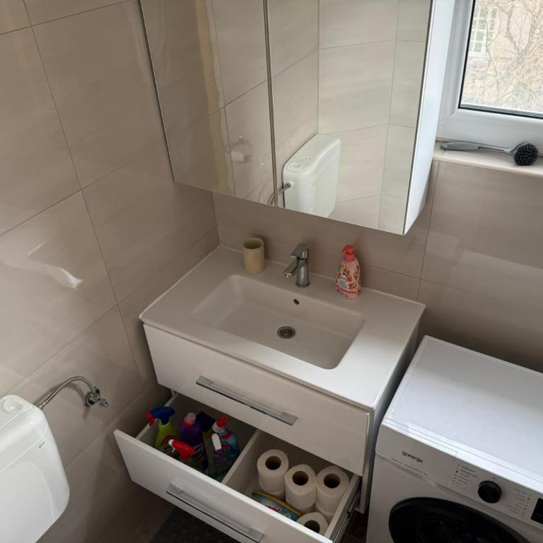Oskar & Ella Apartment - Apartman sa 2 Spavaće Sobe - 17