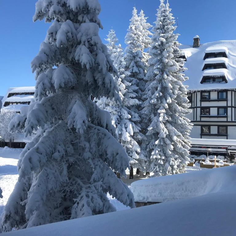 Apartments Konaci BOOKING - Studio sa Pogledom na Planinu - 2