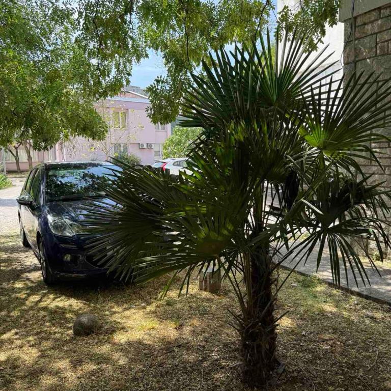 Oskar & Ella Apartment - Apartman sa 2 Spavaće Sobe - 25