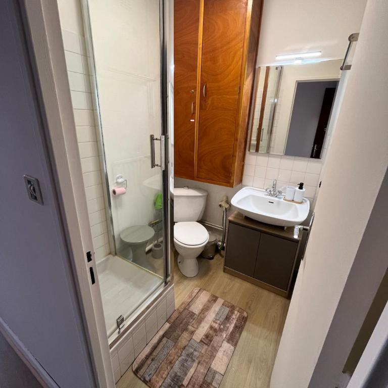 Studio pied des pistes - Appartement 1 Chambre - 9
