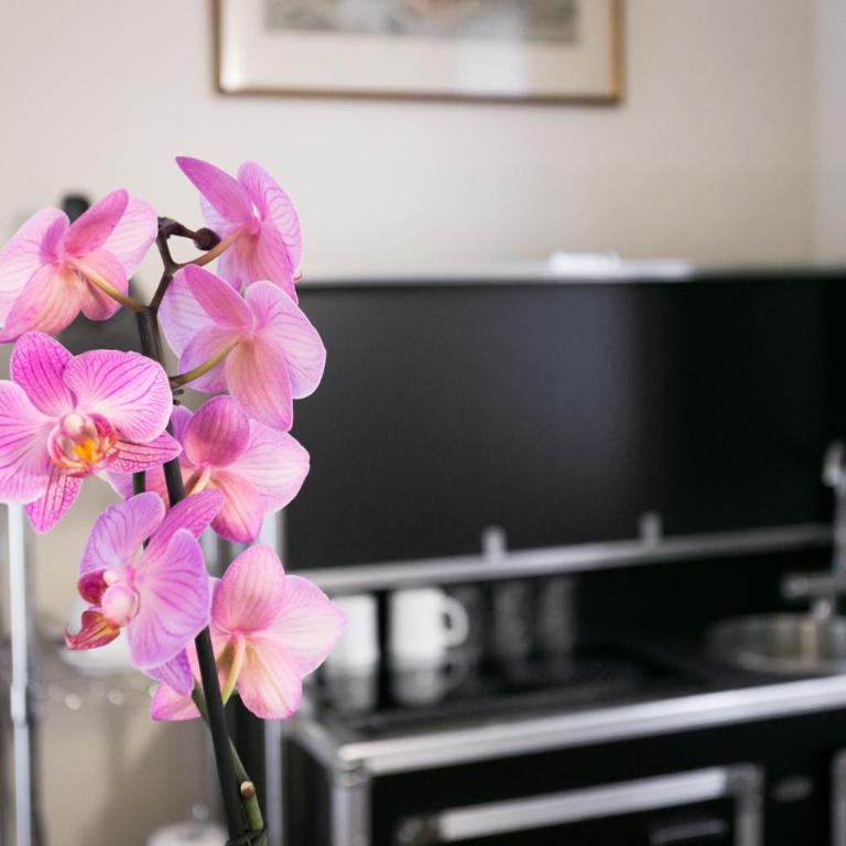 Relais Pacinotti Apartments - Duplex Studio - 2