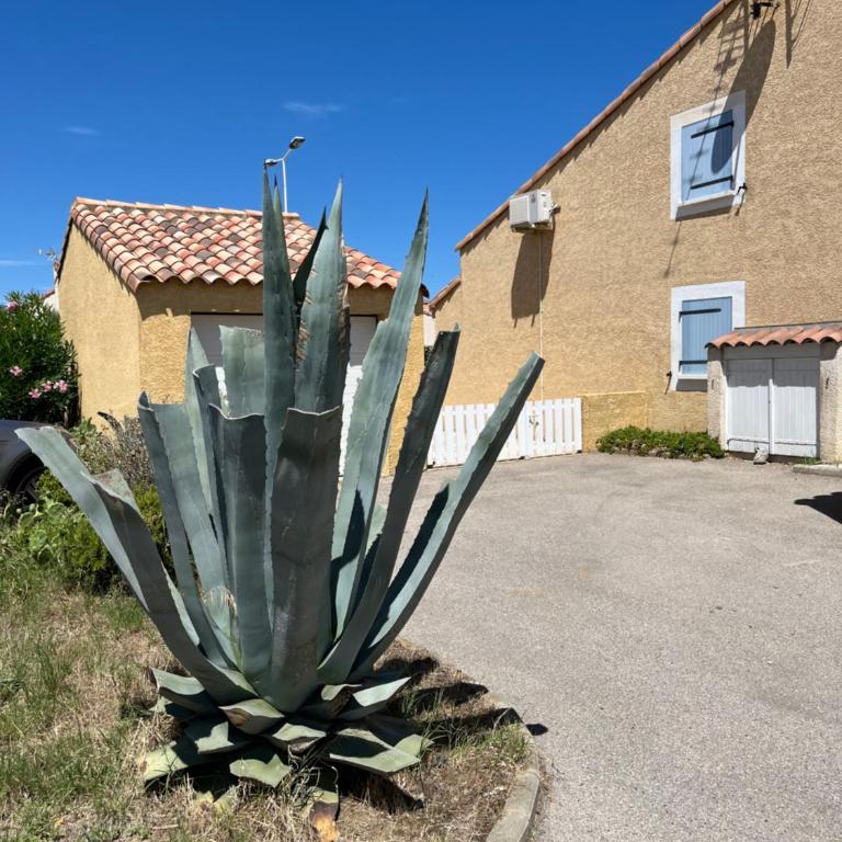 Maison au calme - Maison 2 Chambres - 9