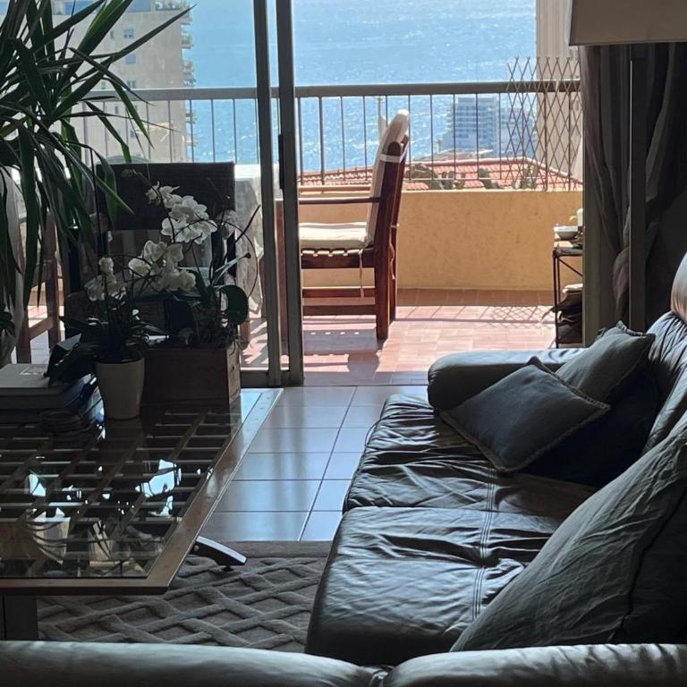 Une terrasse sur Monaco logement 2 chambre - Appartement 2 Chambres - 1