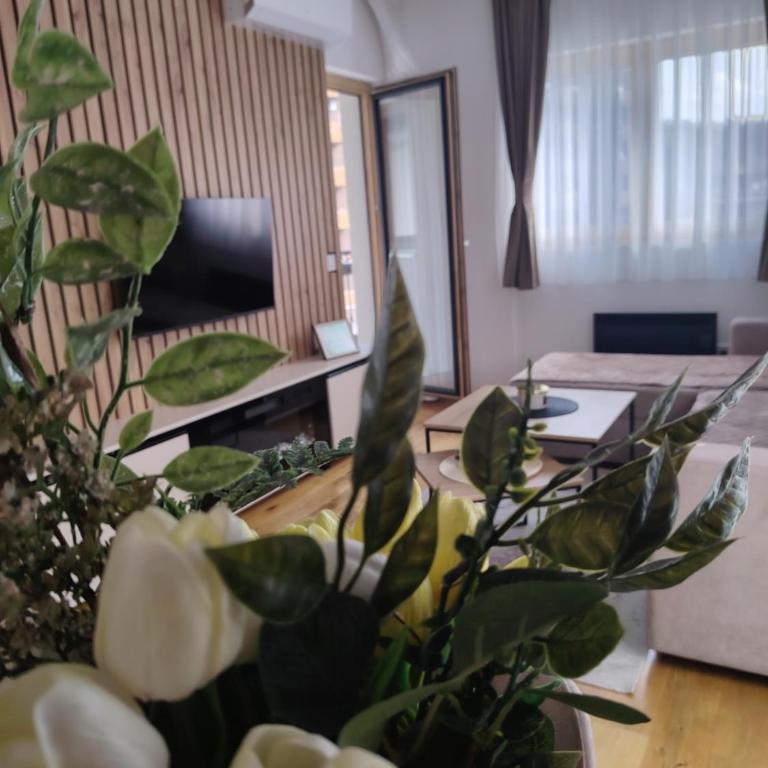 Apartman NIT Zlatibor - One-Bedroom Apartment - 7