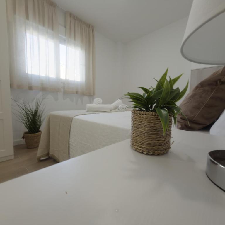 Apartamento moderno cerca de la playa! - Apartamento Estándar - 17