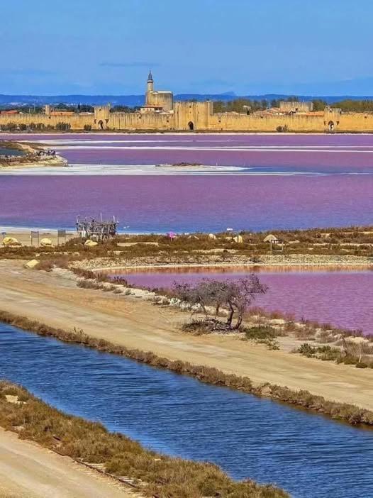 Aigues-Mortes en Camargue - Appartement 1 Chambre - 9