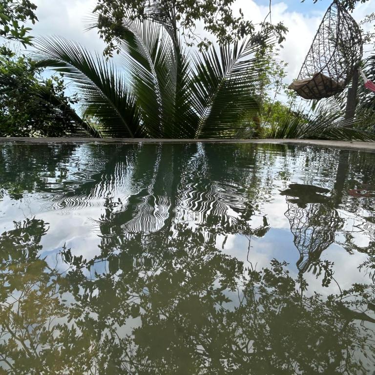 El Mirador y el Nido - Casa Vacacional de 3 dormitorios - 7