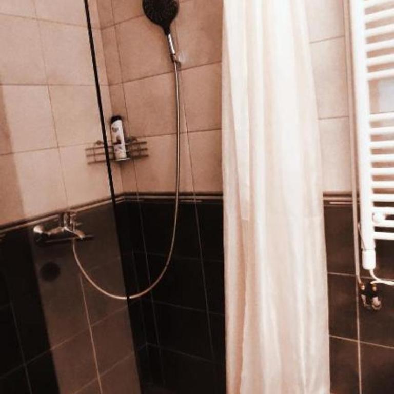 Apartment Temerinska - Apartman sa 2 Spavaće Sobe - 7