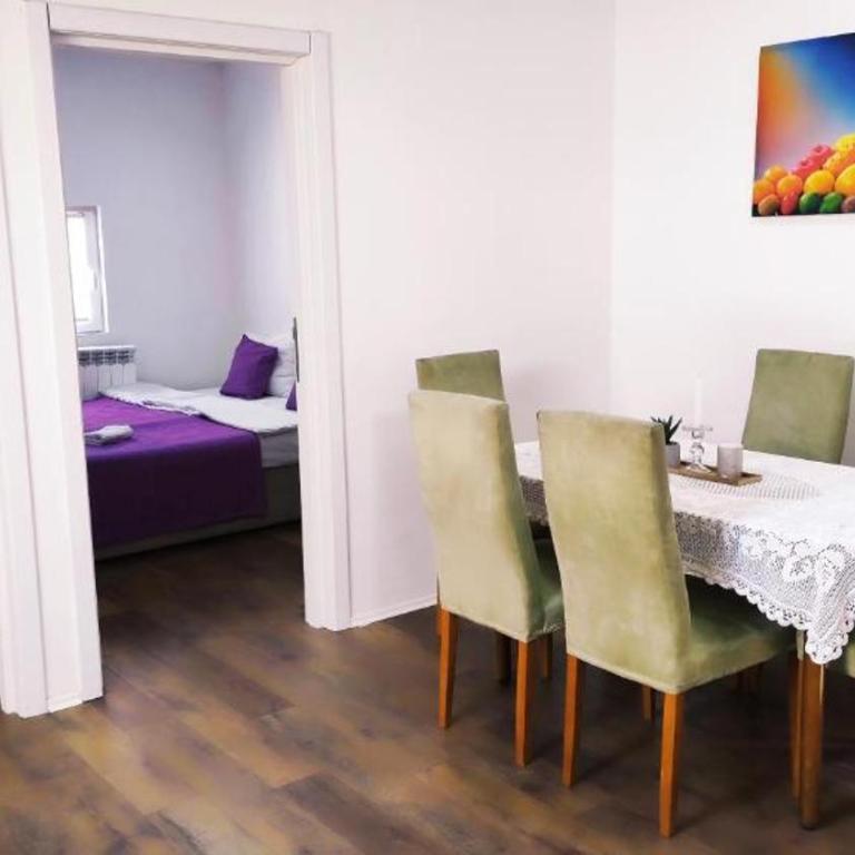 Apartment Temerinska - Apartman sa 2 Spavaće Sobe - 9