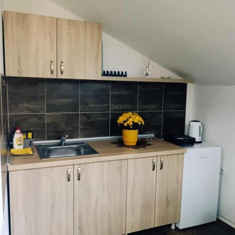 Apartment Temerinska - Apartman sa 2 Spavaće Sobe - 7