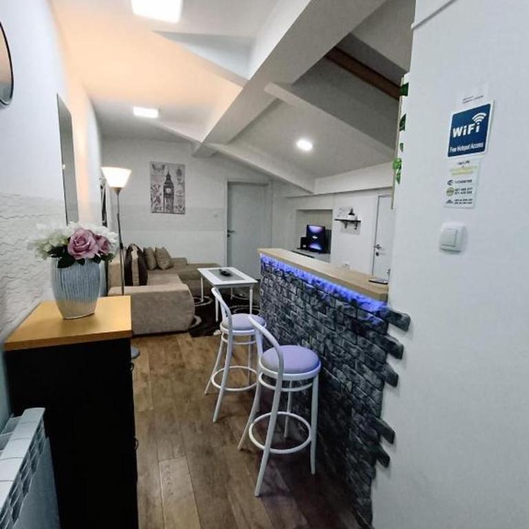 Apartment Temerinska - Apartman sa 2 Spavaće Sobe - 4