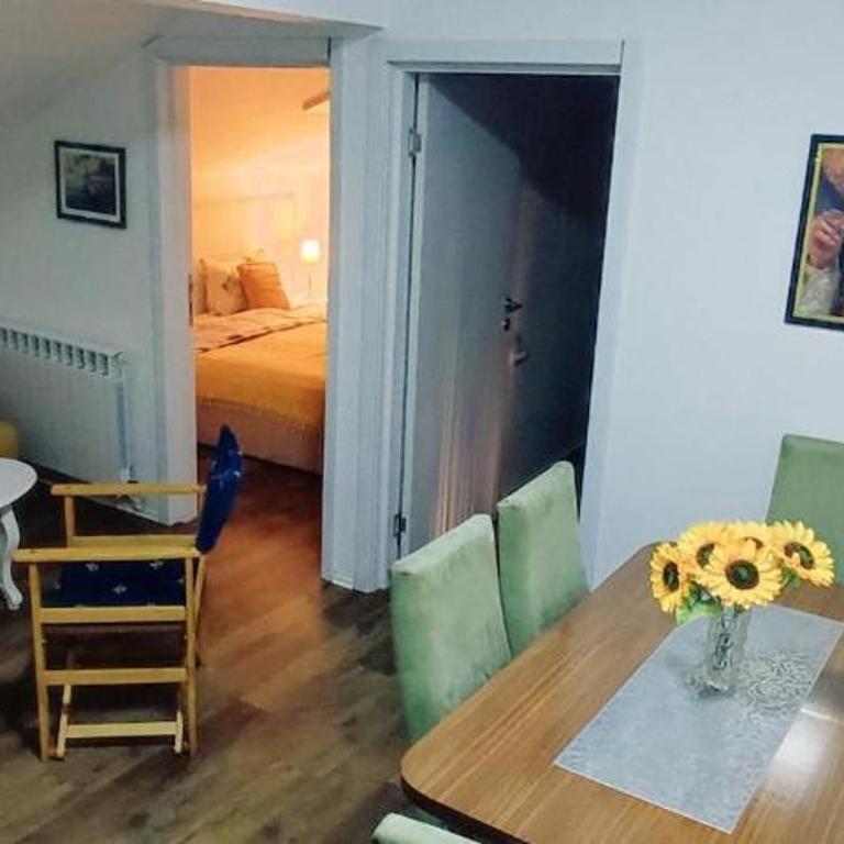 Apartment Temerinska - Apartman sa 2 Spavaće Sobe - 4