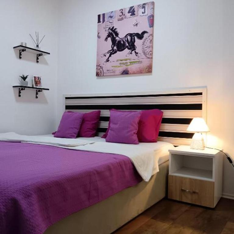 Apartment Temerinska - Apartman sa 2 Spavaće Sobe - 1