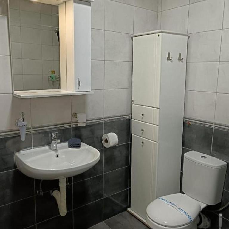 Apartment Temerinska - Standardni Studio - 3