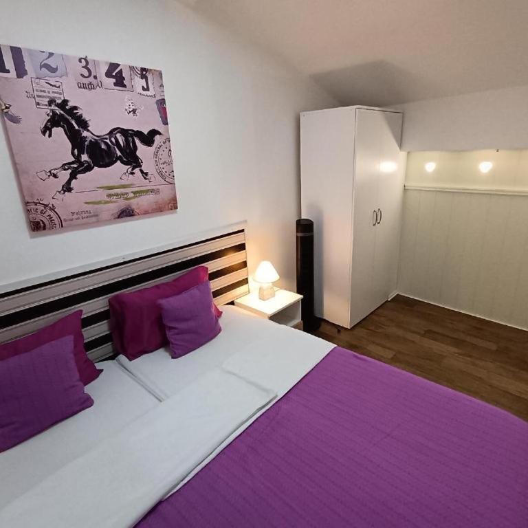 Apartment Temerinska - Apartman sa 2 Spavaće Sobe - 10