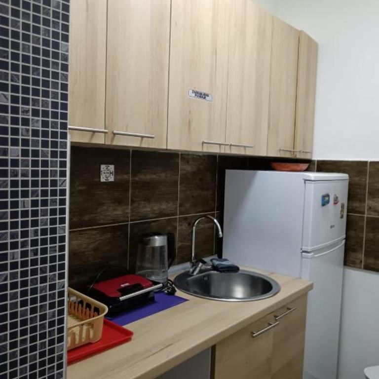 Apartment Temerinska - Standardni Studio - 9