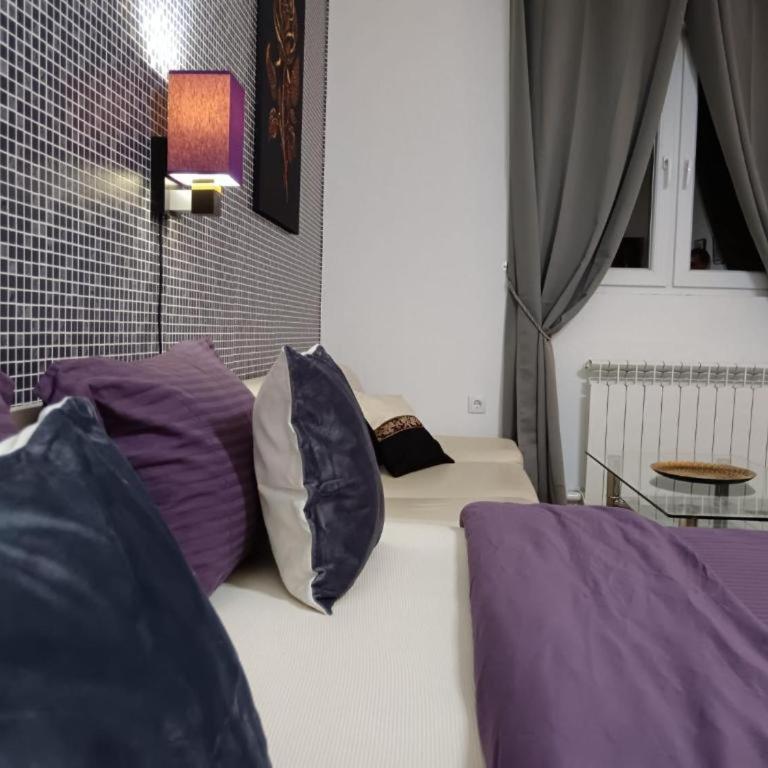 Apartment Temerinska - Standardni Studio - 8