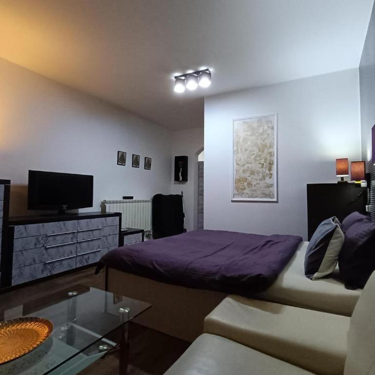 Apartment Temerinska - Standardni Studio - 10