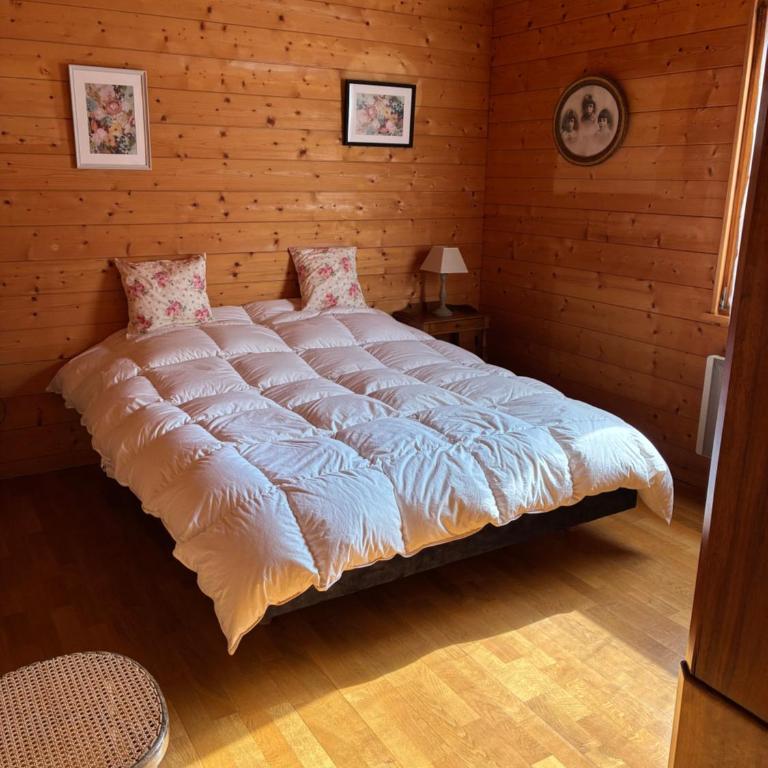 Chalet familial Gerardmer centre - salle de jeu - piscine partagée - Chalet - 43