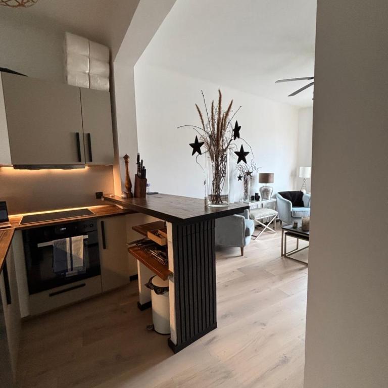 Luxury, newly renovated, 2-room apartment, Banana - Deluxe Apartment mit 1 Schlafzimmer - 21