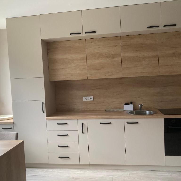Apartman Dara - Novi Beograd - Apartman sa 1 Spavaćom Sobom - 8