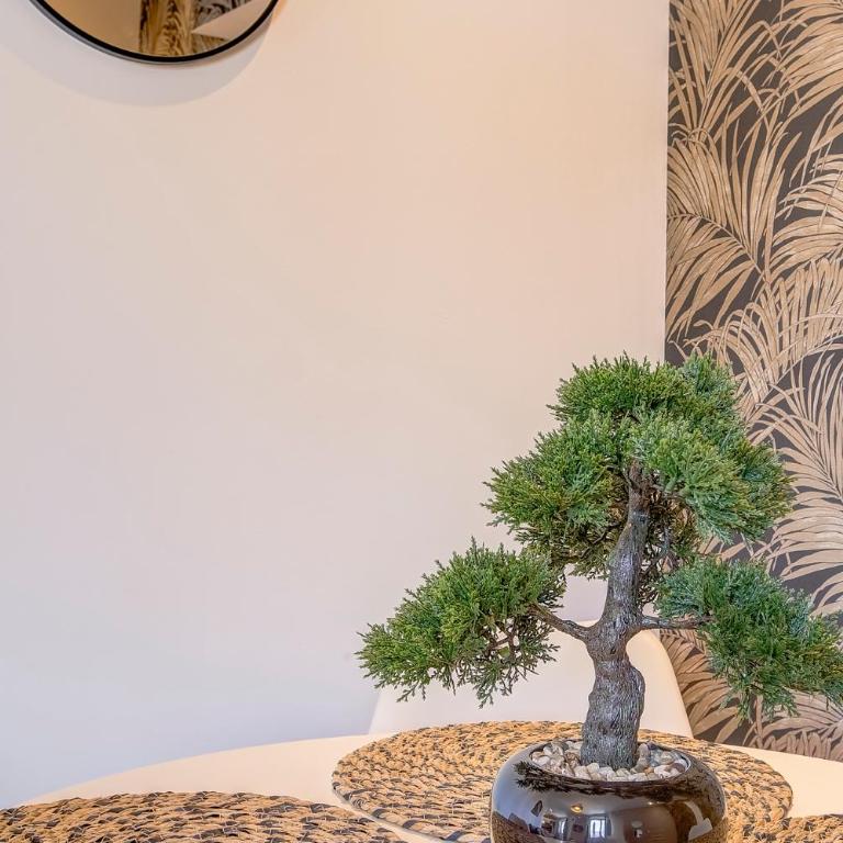 Totolulu Cannes Luxury Properties - Apartamento de 1 dormitorio - 7