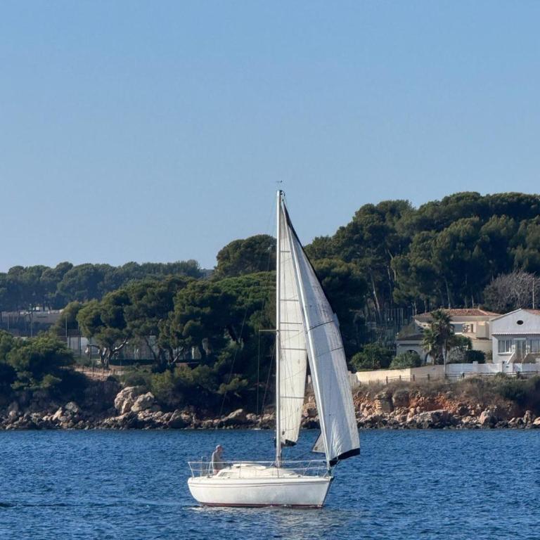 Bandol A Bandol cha cha cha - Appartement - Chambre Double - Vue sur Parc - 1