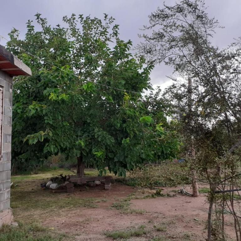 Los Robledos, Alta Montaña Suite - Apartamento de 1 dormitorio con jardín - 1