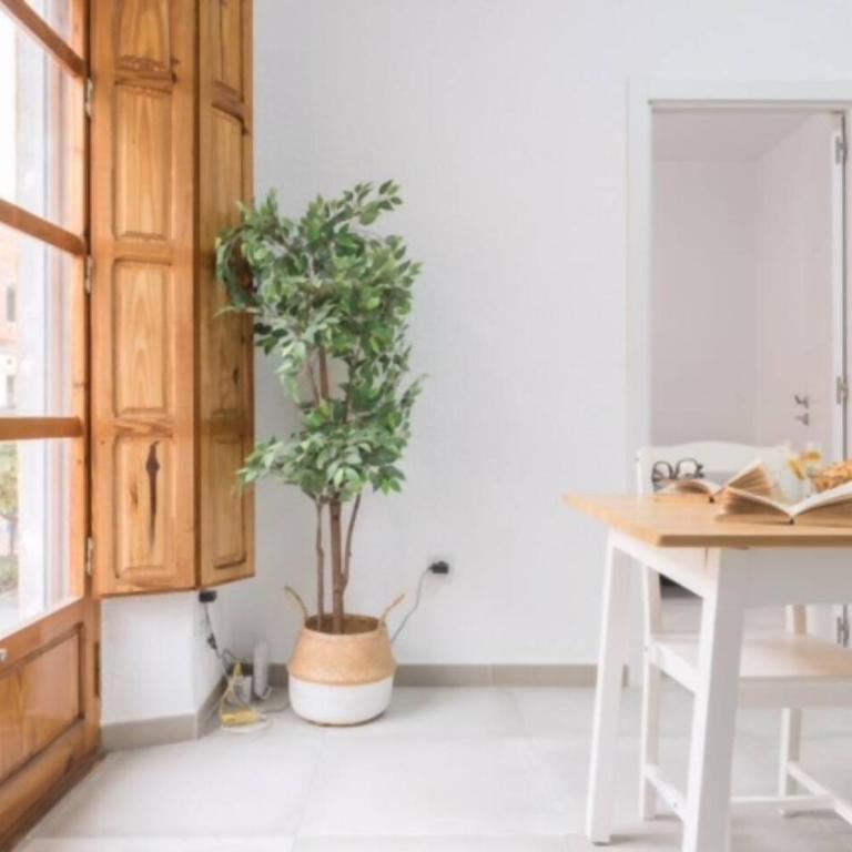 Amplio apartamento en Almeria centro - Apartamento - 5