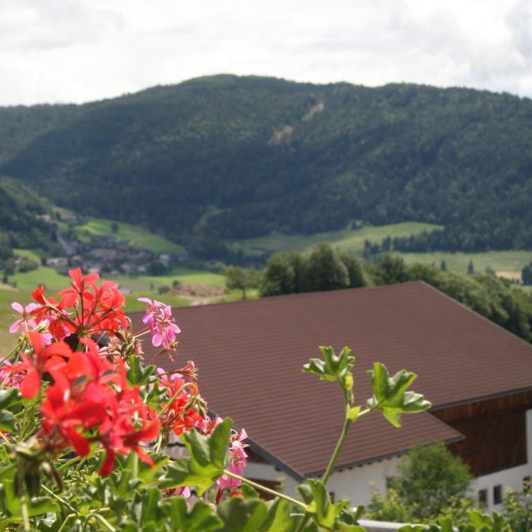 Schötzerhof - Apartamento con vistas al jardín - 9