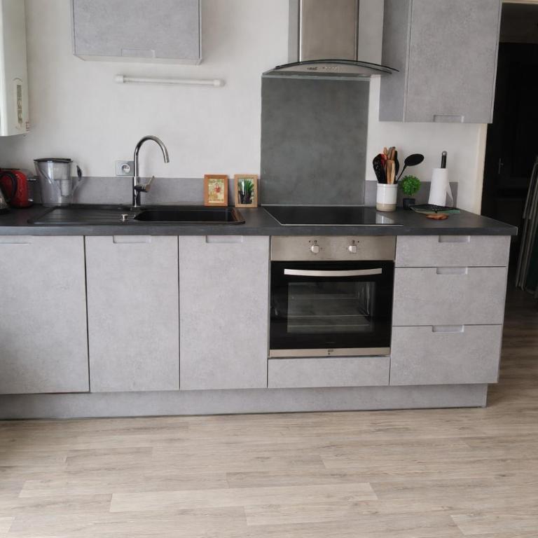 T3 centre La Teste-de-Buch Terrasse 2 parkings Wi-Fi fibre 4 pers - Apartment mit 2 Schlafzimmern - 13